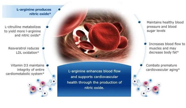 l-arginin i oksid dusika
