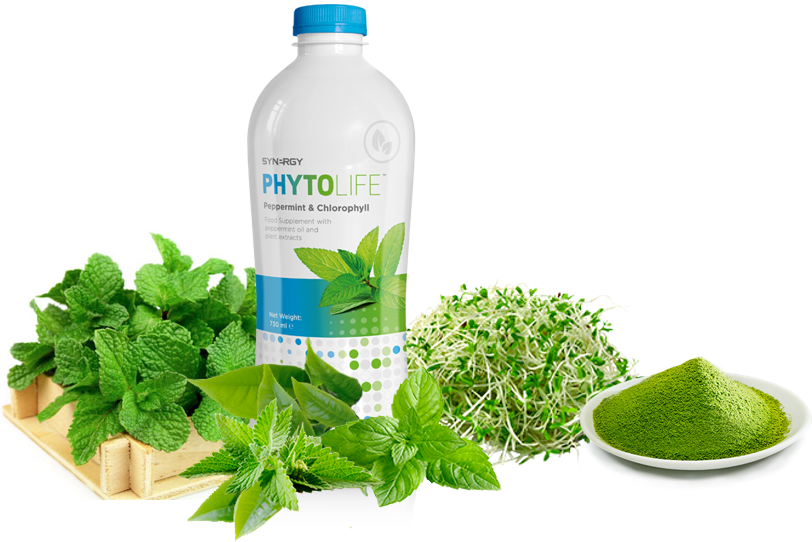 synergy phytolife